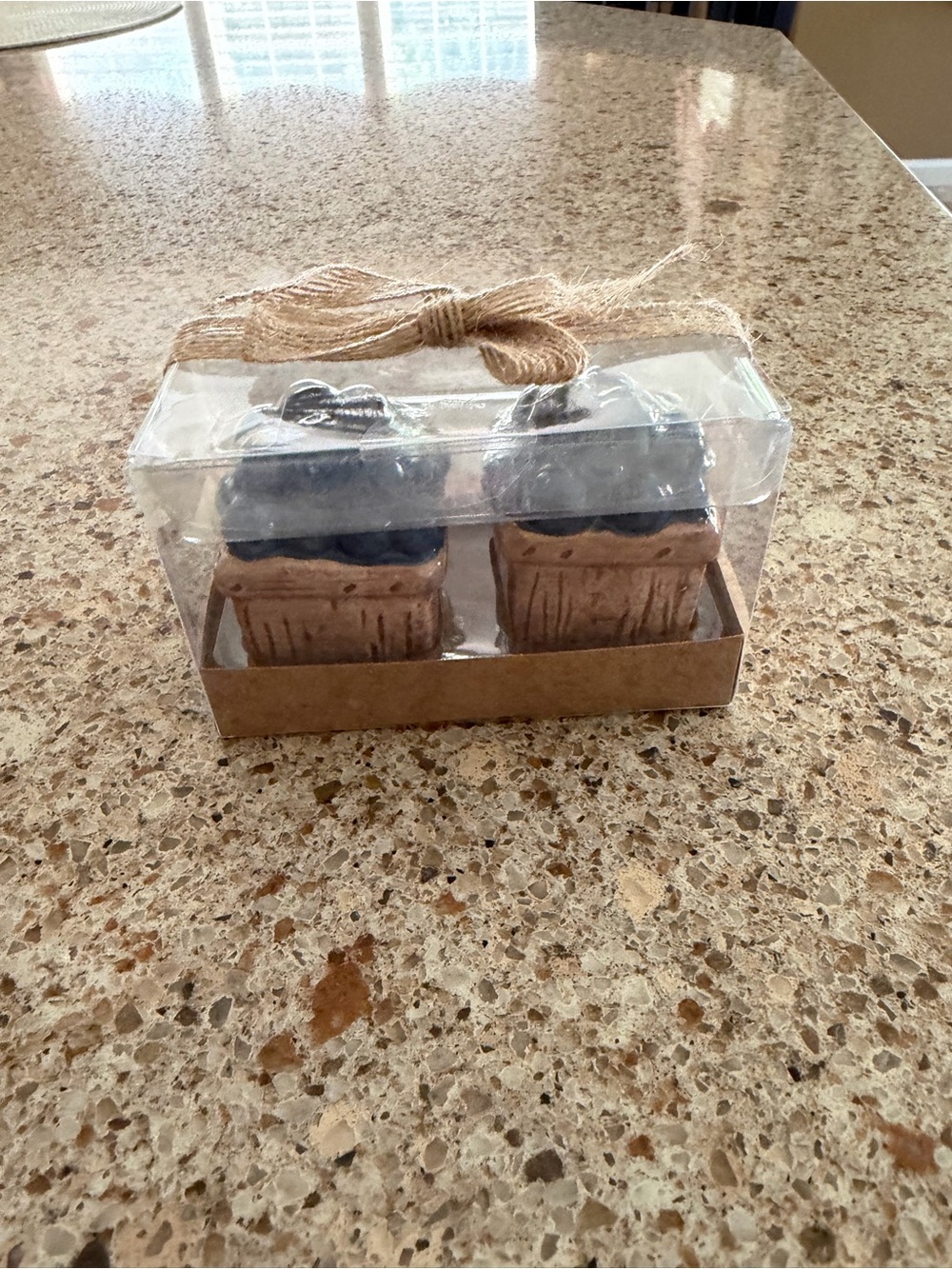 Decorative Blueberry Cupcake Salt & Pepper Shakers